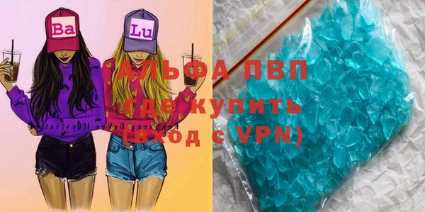 гашик Арсеньев