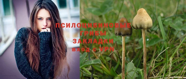 гашик Арсеньев