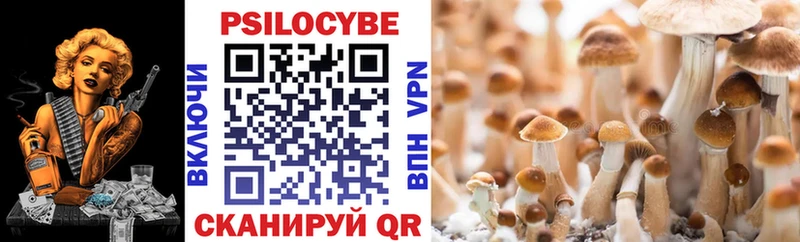 Псилоцибиновые грибы мухоморы  Купить где  Барыш 